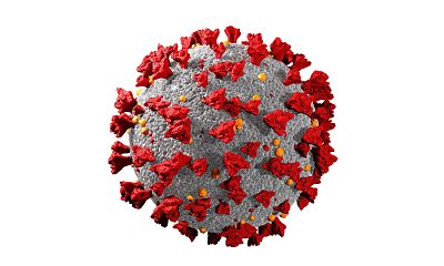 Picture of a Covid- 19 cell